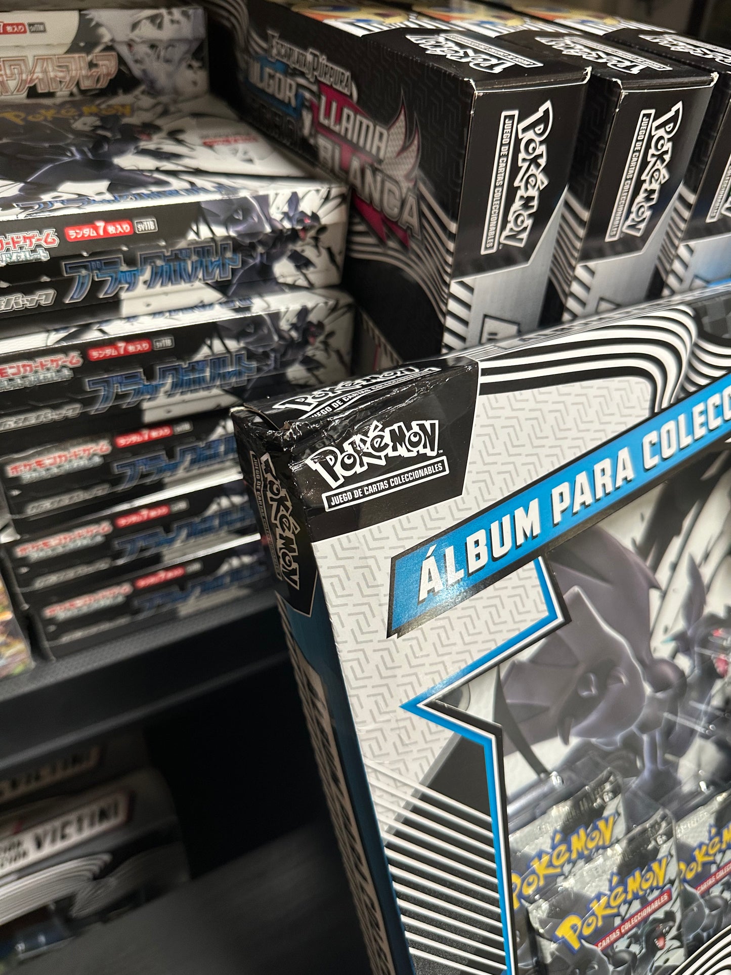 [OUTLET] Colección con Álbum de Fulgor Negro (Black Bolt)-  Binder Collection Pokémon TCG Español (Caja dañada)